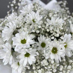 orig (3)18